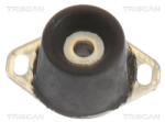 TRISCAN Suport motor TRISCAN 8505 10122 (8505 10122) - automobilus