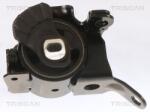 TRISCAN Suport motor TRISCAN 8505 50100 (8505 50100) - automobilus