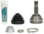 PASCAL Articulatie, planetara PASCAL G1F008PC (G1F008PC) - automobilus