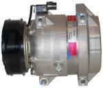 DELPHI Compresor, climatizare DELPHI TSP0155880 (TSP0155880)