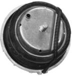 TEDGUM Suport motor TEDGUM TED46098 (TED46098) - automobilus