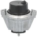 REINHOCH Suport motor REINHOCH RH11-3173 (RH11-3173) - automobilus