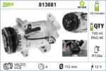 VALEO Compresor, climatizare VALEO RE-GEN REMANUFACTURED 813881 (813881)