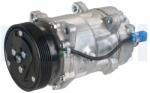 DELPHI Compresor, climatizare DELPHI TSP0159058 (TSP0159058)