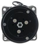 MAHLE Compresor, climatizare MAHLE BEHR ACP 960 000S (ACP 960 000S)