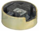 DELPHI Suport motor DELPHI TEM124 (TEM124) - automobilus