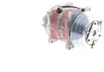 AKS DASIS Compresor, climatizare AKS DASIS 850285N (850285N)