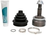 PASCAL Set articulatie, planetara PASCAL G1V001PC (G1V001PC) - automobilus