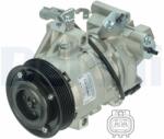 DELPHI Compresor, climatizare DELPHI CS20480 (CS20480) - automobilus