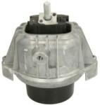 REINHOCH Suport motor REINHOCH RH11-3032 (RH11-3032) - automobilus