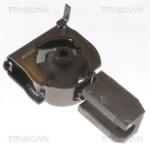 TRISCAN Suport motor TRISCAN 8505 13102 (8505 13102) - automobilus