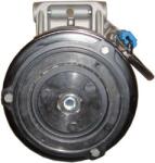 MAHLE Compresor, climatizare MAHLE BEHR ACP 4 000S (ACP 4 000S)