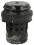 REINHOCH Suport motor REINHOCH RH11-0013 (RH11-0013) - automobilus