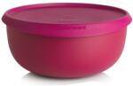 Tupperware Aktív Tál - Légmentesen Zárható Tároló Tál Fajta: 1, 3l