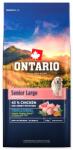 ONTARIO Senior Large Chicken & Sweet Potatoes 2 x 12 kg