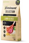 Eminent Selection Sensitive Lamb & Rice 2 x 12 kg