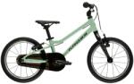 Kross Liftie 16 Bicicleta