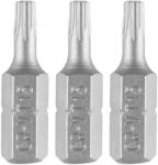 p> GRAPHITE Csavarhúzó bit T15, 25mm, 3db (56T523)