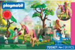 Playmobil Zâne în călătorie Figurina