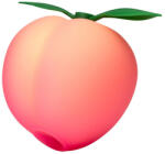 ROMP Stimulator Clitoridian Romp Pink Peach Pleasure Air Vibrator