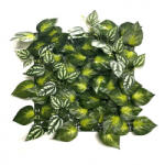 Mirpol Panou perete verde artificial Mirpol Aureus 33x33 cm, plastic PE cu filtru UV (5905610253783)