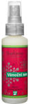 Saloos Odorizant natural Vis de Crăciun 50ml