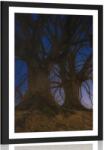 Dovido Poszter paszportuval fák az éjszakai tájon - 40x60 white