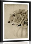 Dovido Poszter paszportuval rószák vázában szépia kivitelben - 30x45 black