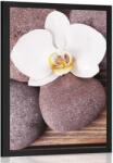 Dovido Poszter wellness orchidea fa háttéren - 40x60 black