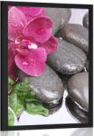 Dovido Poszter virágzó orchidea és wellness kövek - 30x45 silver