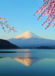 Dovido Öntapadó fotótapéta kilátás a Fuji hegyre - 196x270