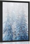 Dovido Poszter havas táj - 60x90 no frame
