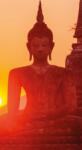 Dovido Öntapadó fotótapéta Buddha szobor - 147x270