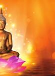Dovido Öntapadó tapéta Buddha lótusz virágon - 196x270