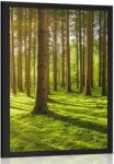 Dovido Poszter reggel az erdőben - 20x30 white