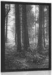 Dovido Poszter erdő fekete fehérben - 20x30 no frame - dovido - 3 655 Ft
