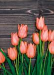 Dovido Öntapadó fotótapéta narancssárga tulipánok fa háttéren - 196x270