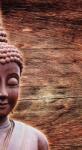 Dovido Öntapadó fotótapéta Buddha szobor fa háttéren - 147x270