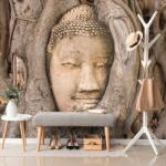 Dovido Fotótapéta a Buddha szent fügefája - 147x99