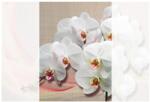 Dovido Tapéta fehér orchidea vásznon - 196x270