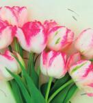 Dovido Fotótapéta tavaszi tulipánok - 245x270