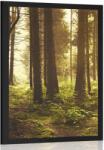 Dovido Poszter napsugarak az erdőben - 20x30 silver - dovido - 6 355 Ft