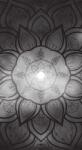 Dovido Tapéta Mandala galaxis háttérrel, fekete-fehérben - 147x270