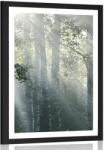 Dovido Poszter paszportuval napsugarak ködben - 40x60 silver