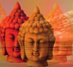 Dovido Öntapadó tapéta Buddha változata - 294x270