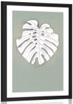 Dovido Poszter paszportuval monster virág levél zöld háttéren - 40x60 silver