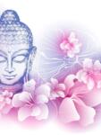 Dovido Öntapadó tapéta Buddha virágok között - 147x270
