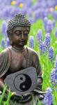 Dovido Fotótapéta jin és jang szimbólum Buddha kezében - 147x270