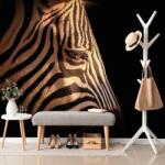 Dovido Fotótapéta egy zebra portréja - 343x231