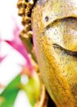 Dovido Tapéta arany Buddha arc - 196x270